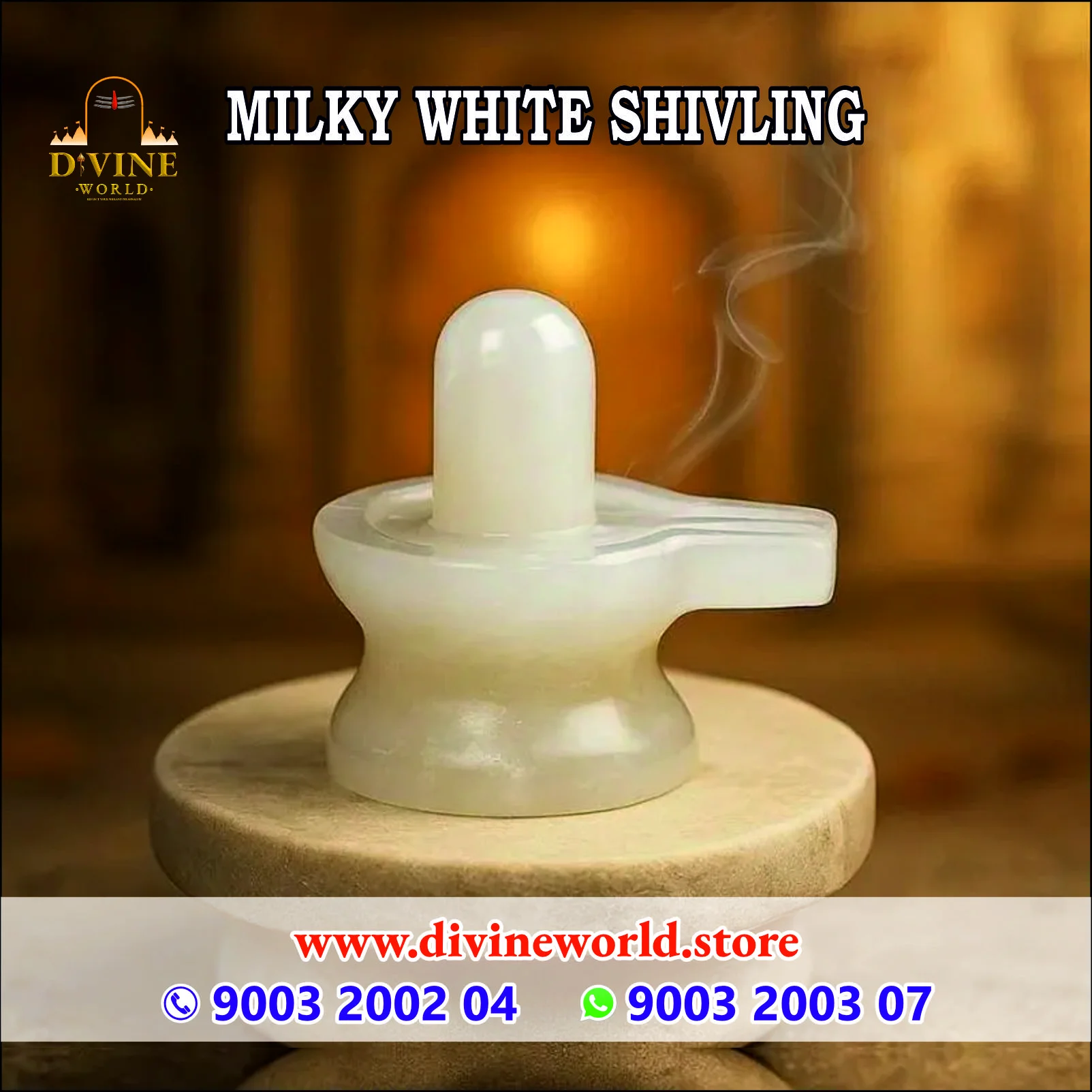 MILKY WHITE SHIVLING