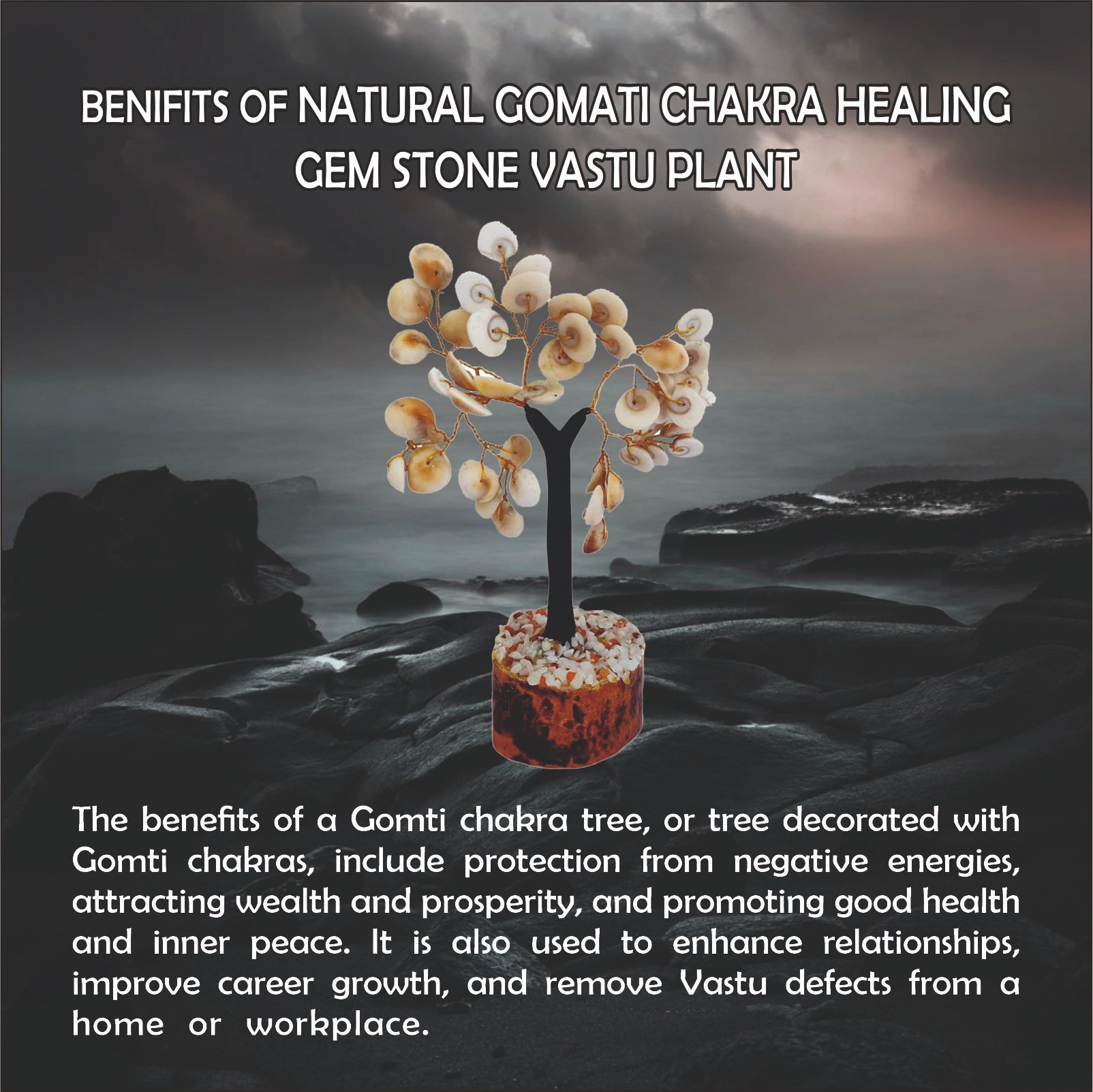 Natural Gomati Chakra Healing Gem Stone Vastu Plant