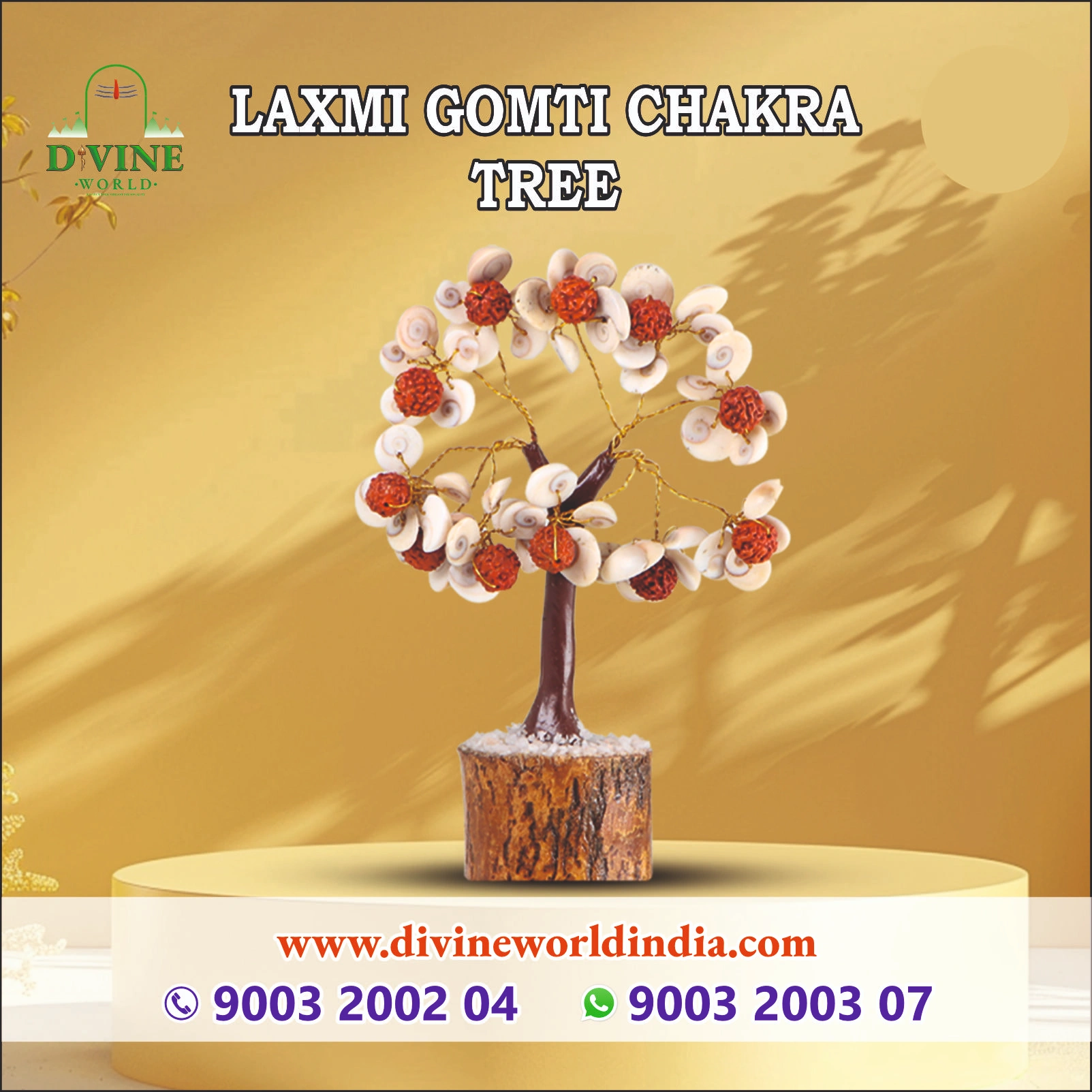 Natural Laxmi Gomti Chakra Tree