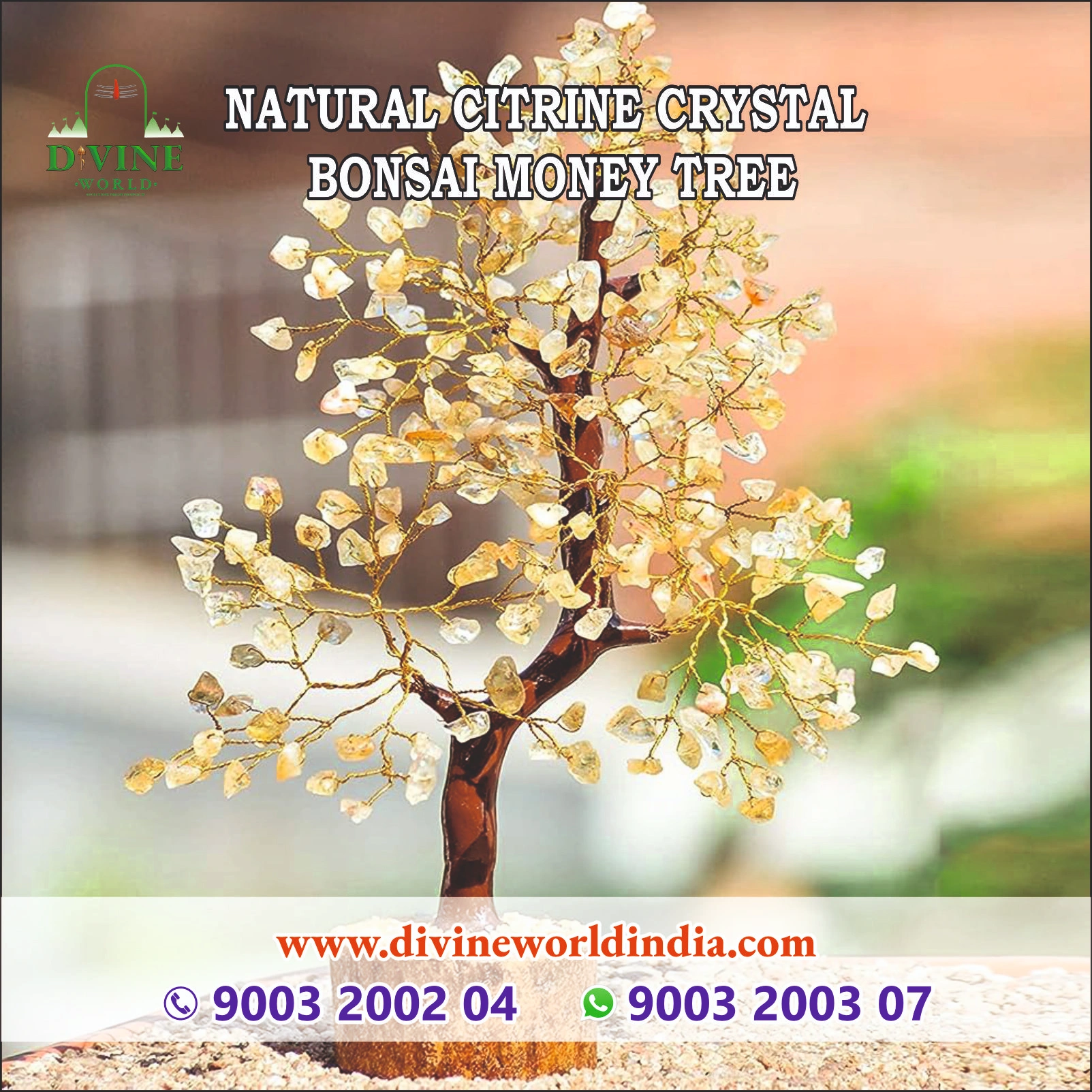 Natural Citrine Crystal Bonsai Money Tree