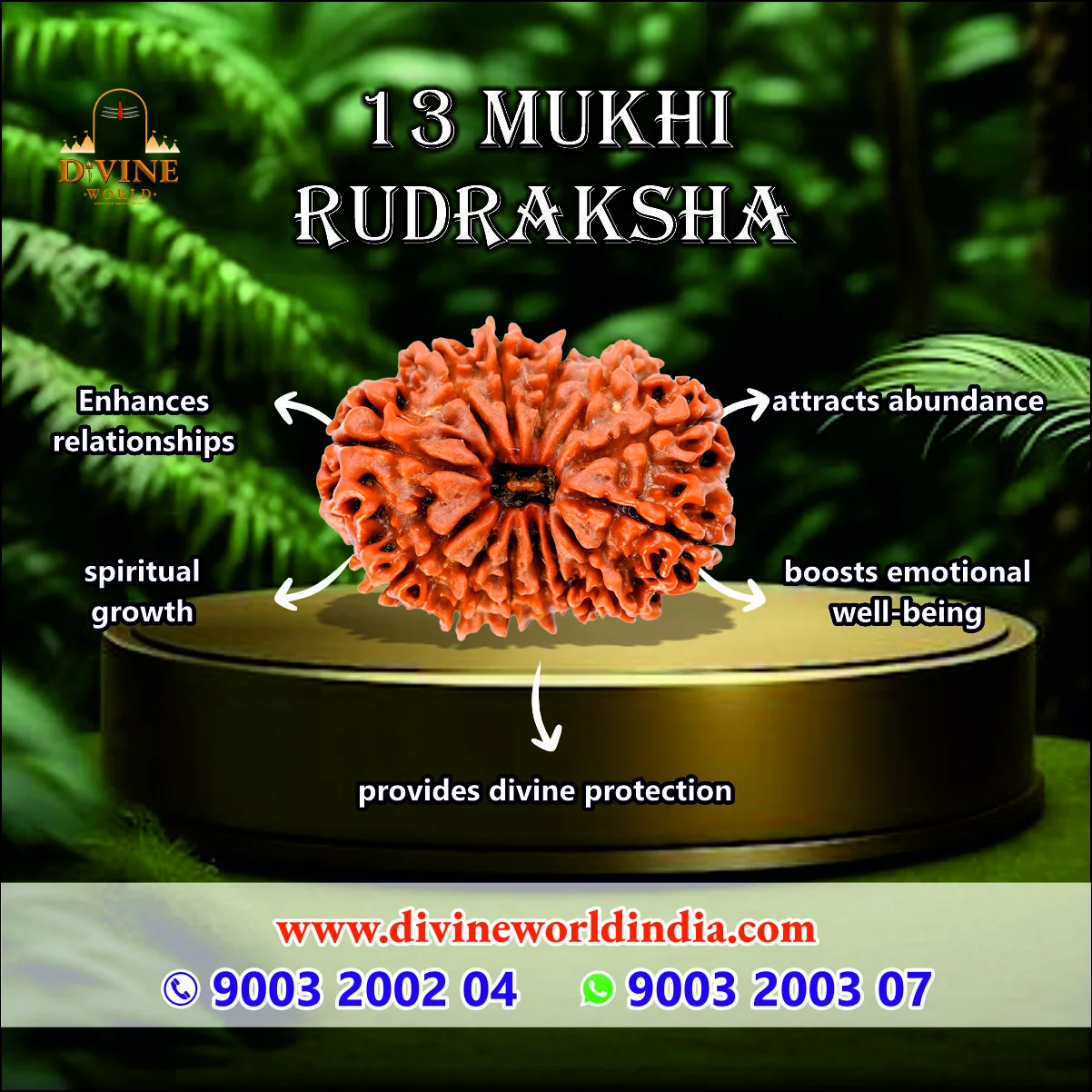  13 Mukhi Rudraksha