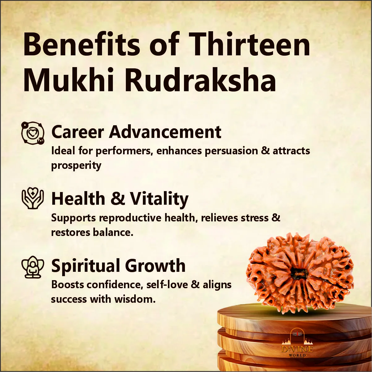  13 Mukhi Rudraksha