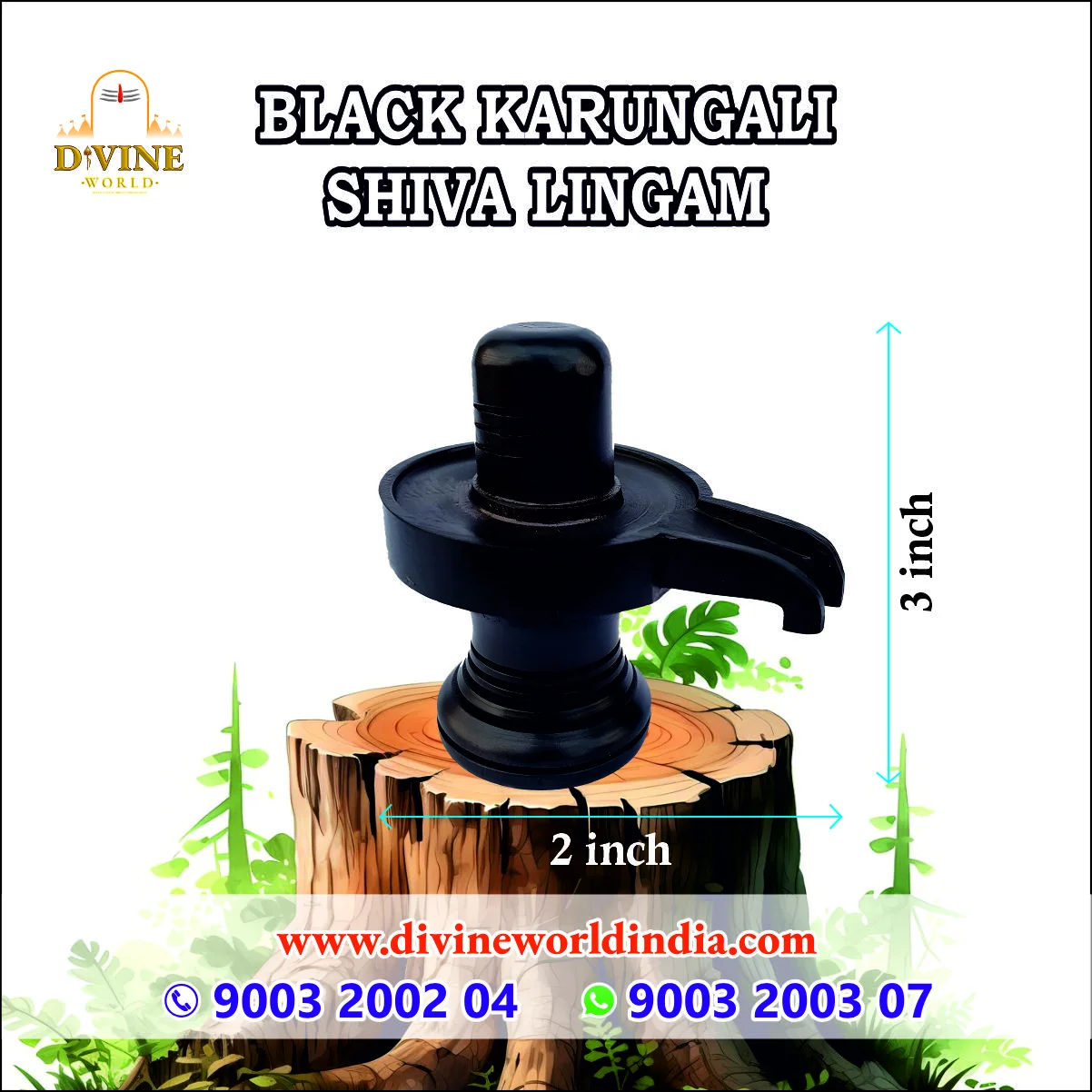 Black Karungali Shiva Lingam