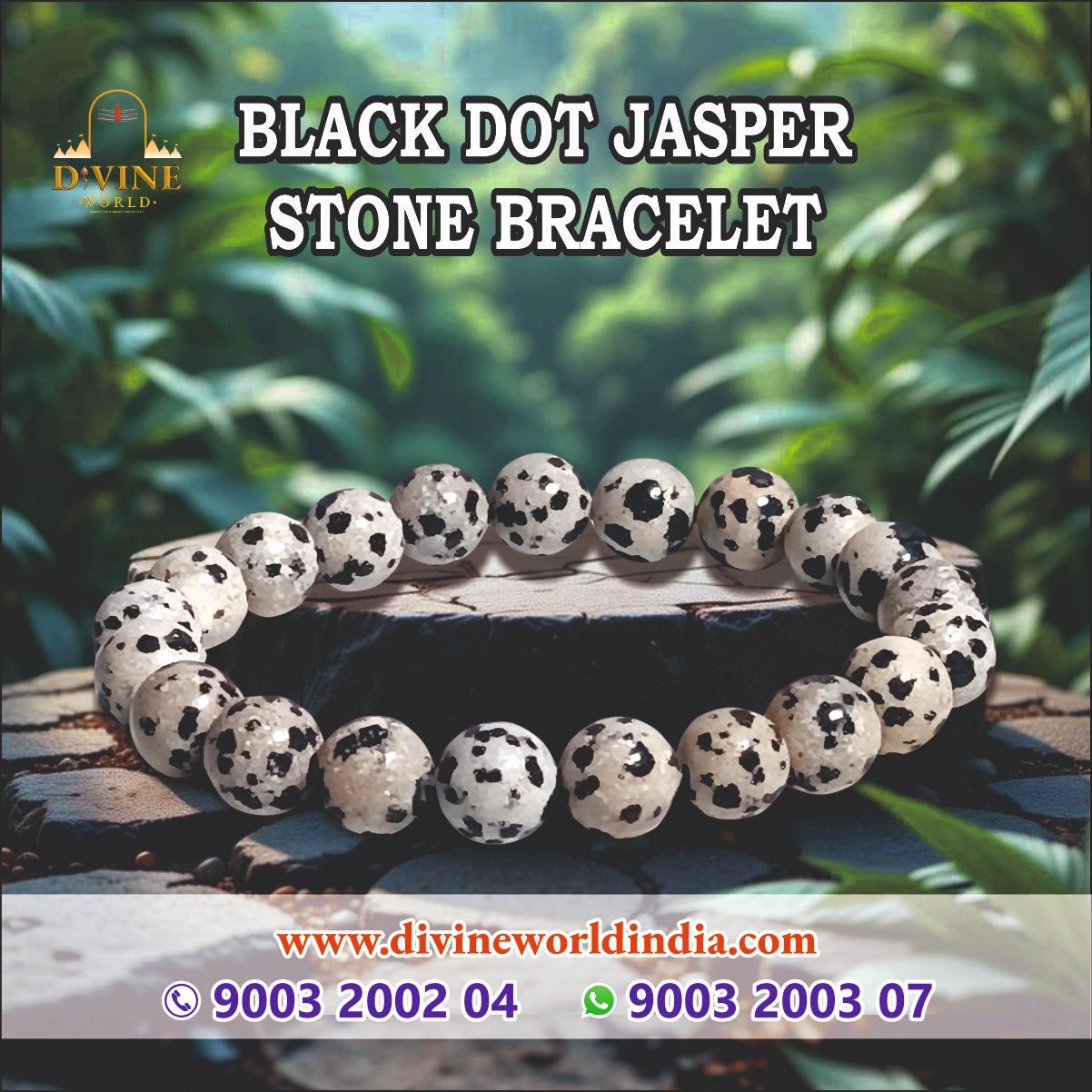 Black Dot Jasper Stone Bracelet