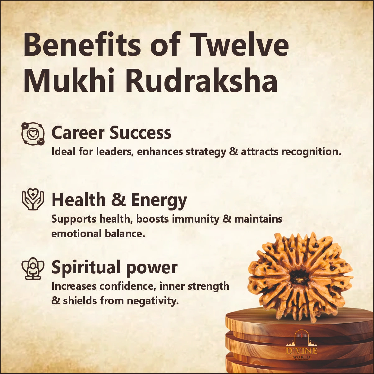 12 Mukhi Rudraksha