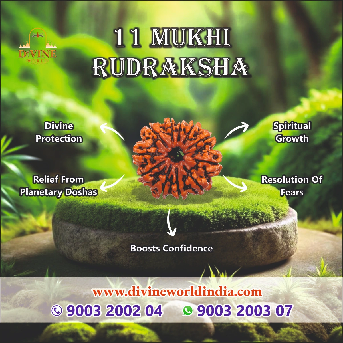  11 Mukhi Rudraksha