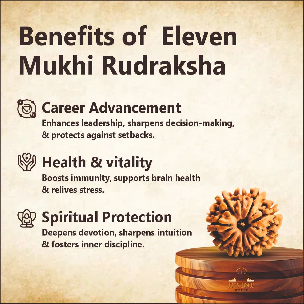  11 Mukhi Rudraksha