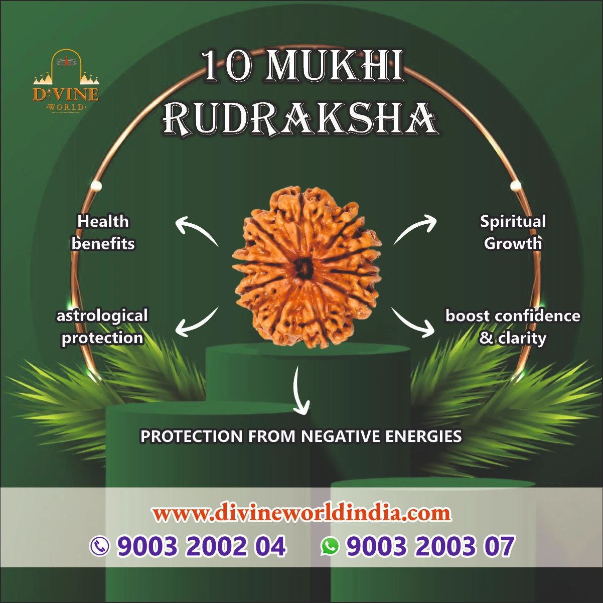 10 Mukhi Rudraksha