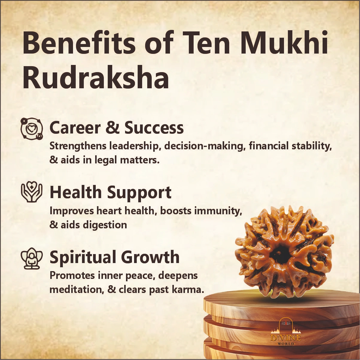 10 Mukhi Rudraksha