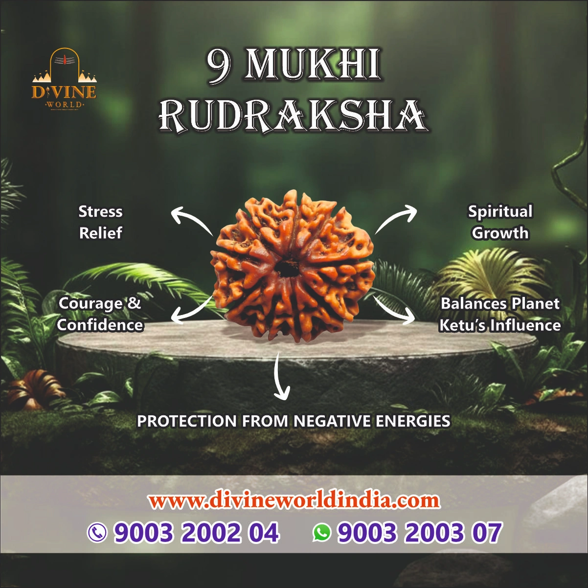 9 Mukhi Rudhraksha