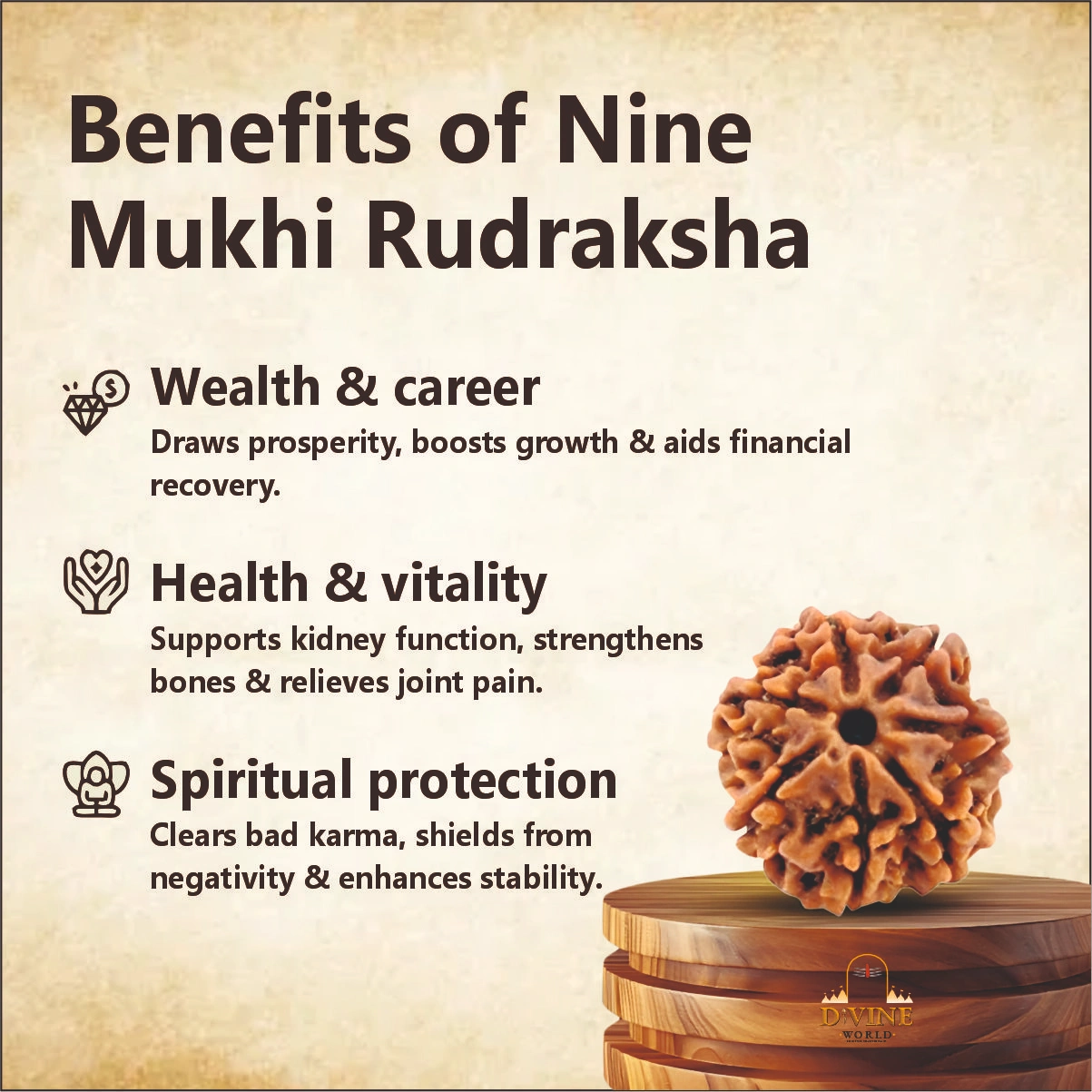 9 Mukhi Rudhraksha
