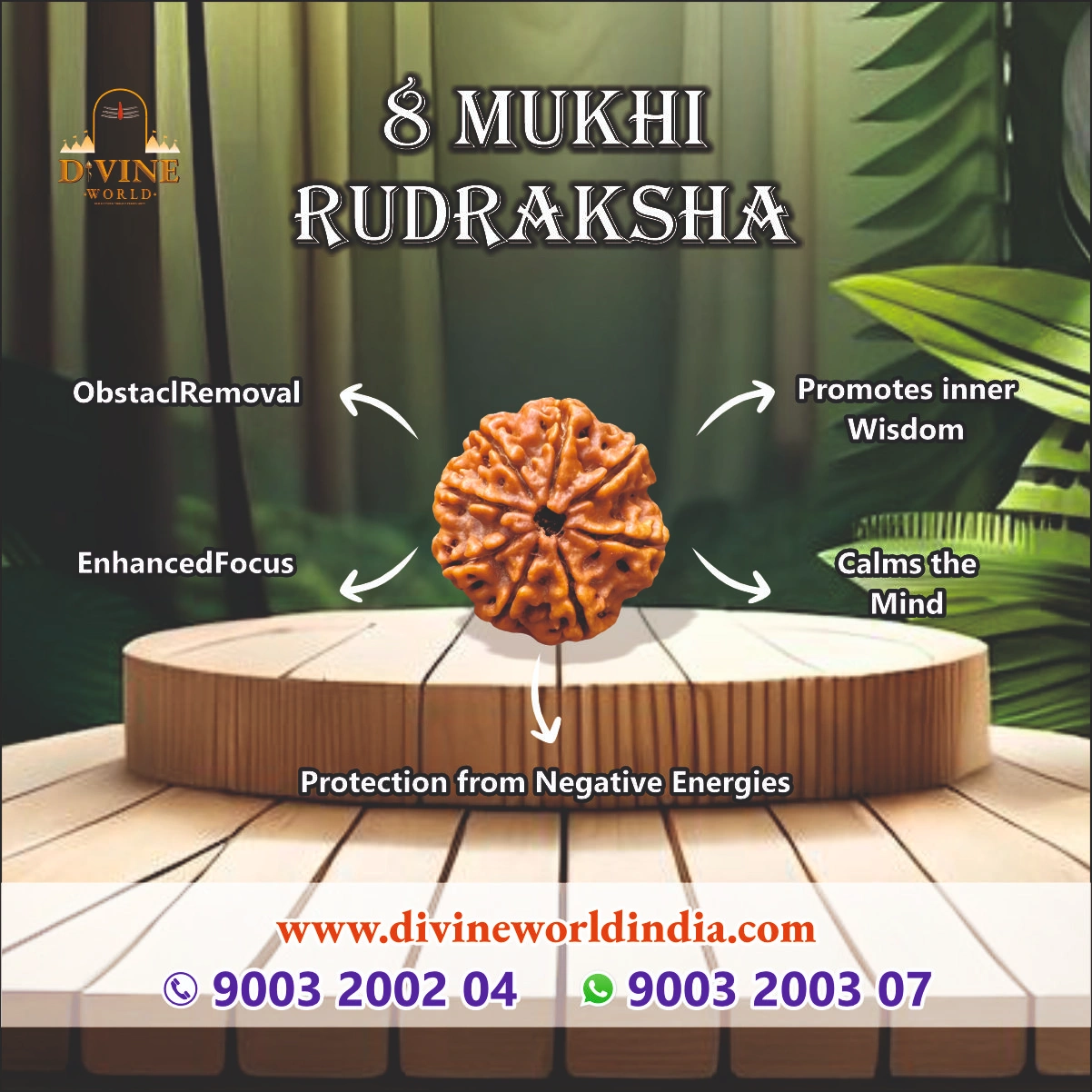 8 Mukhi Rudhraksha