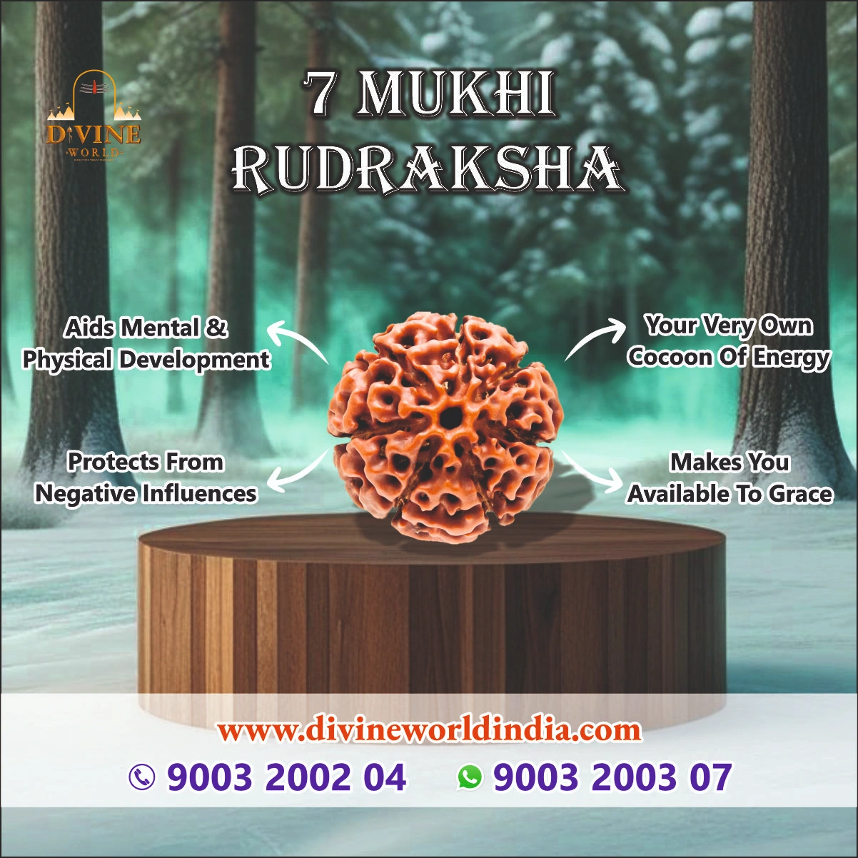 7 Mukhi Rudhraksha