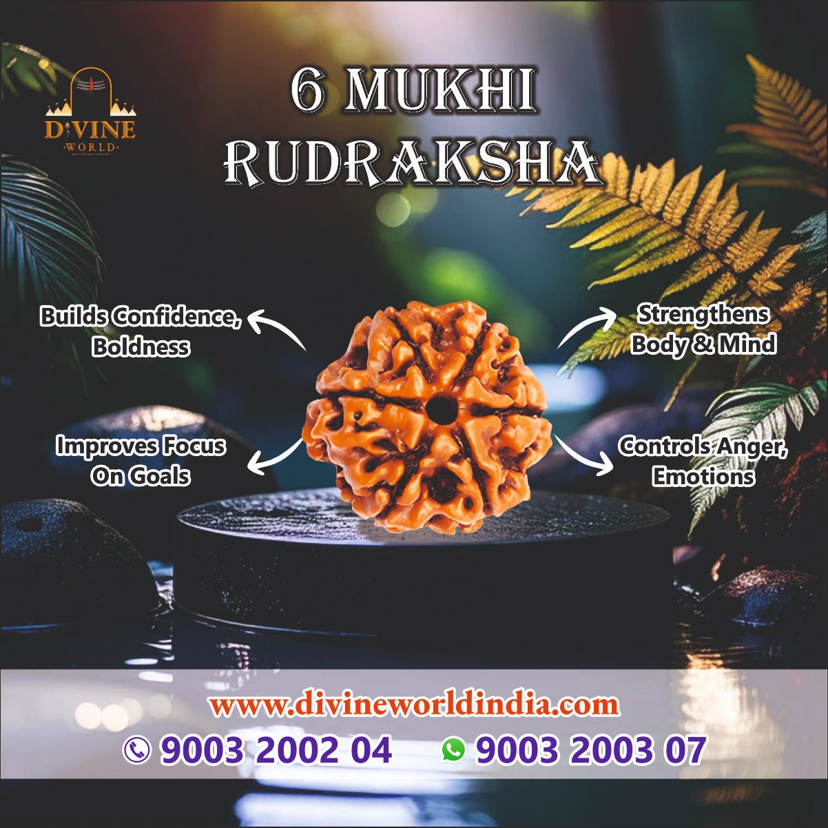 6 Mukhi Rudhraksha