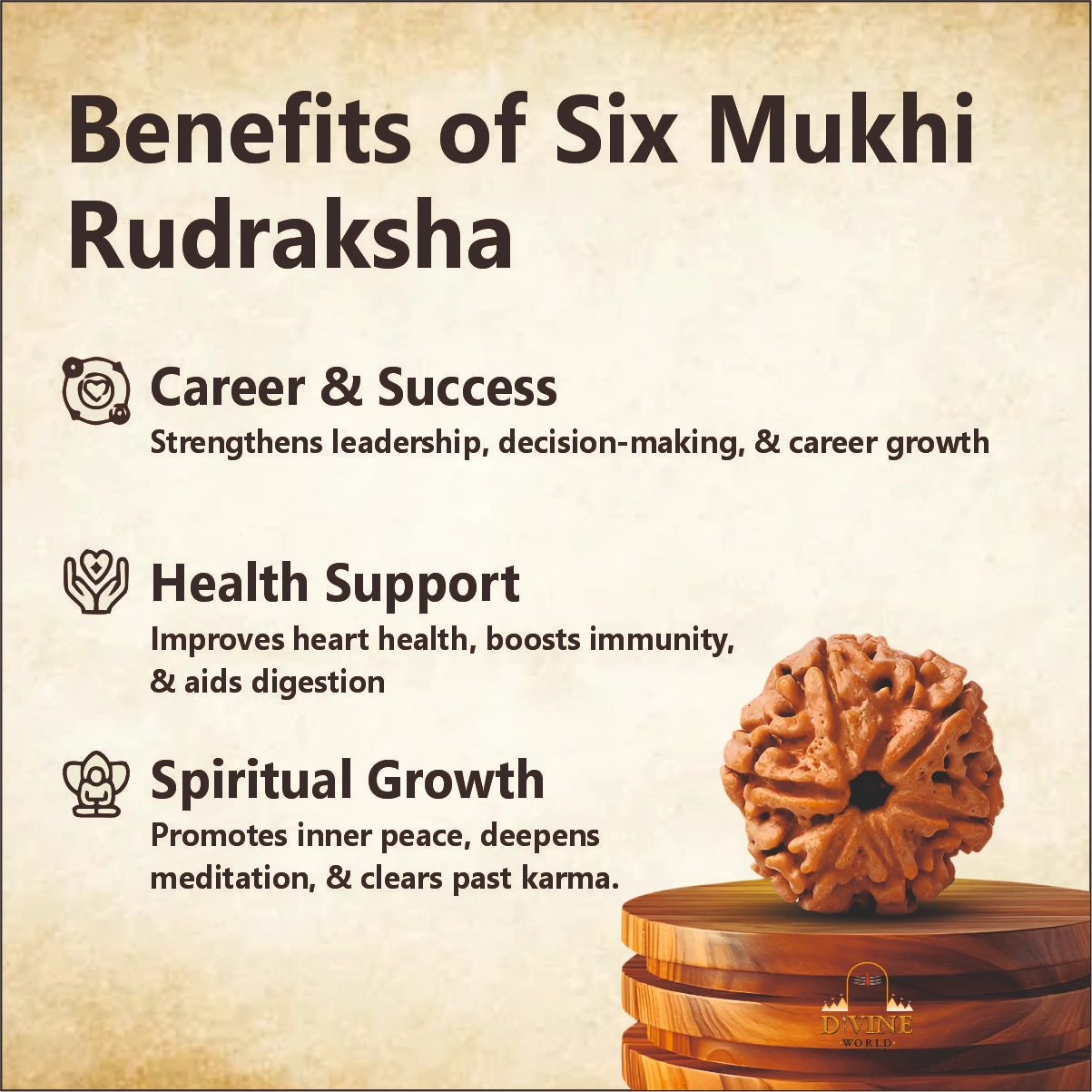6 Mukhi Rudhraksha