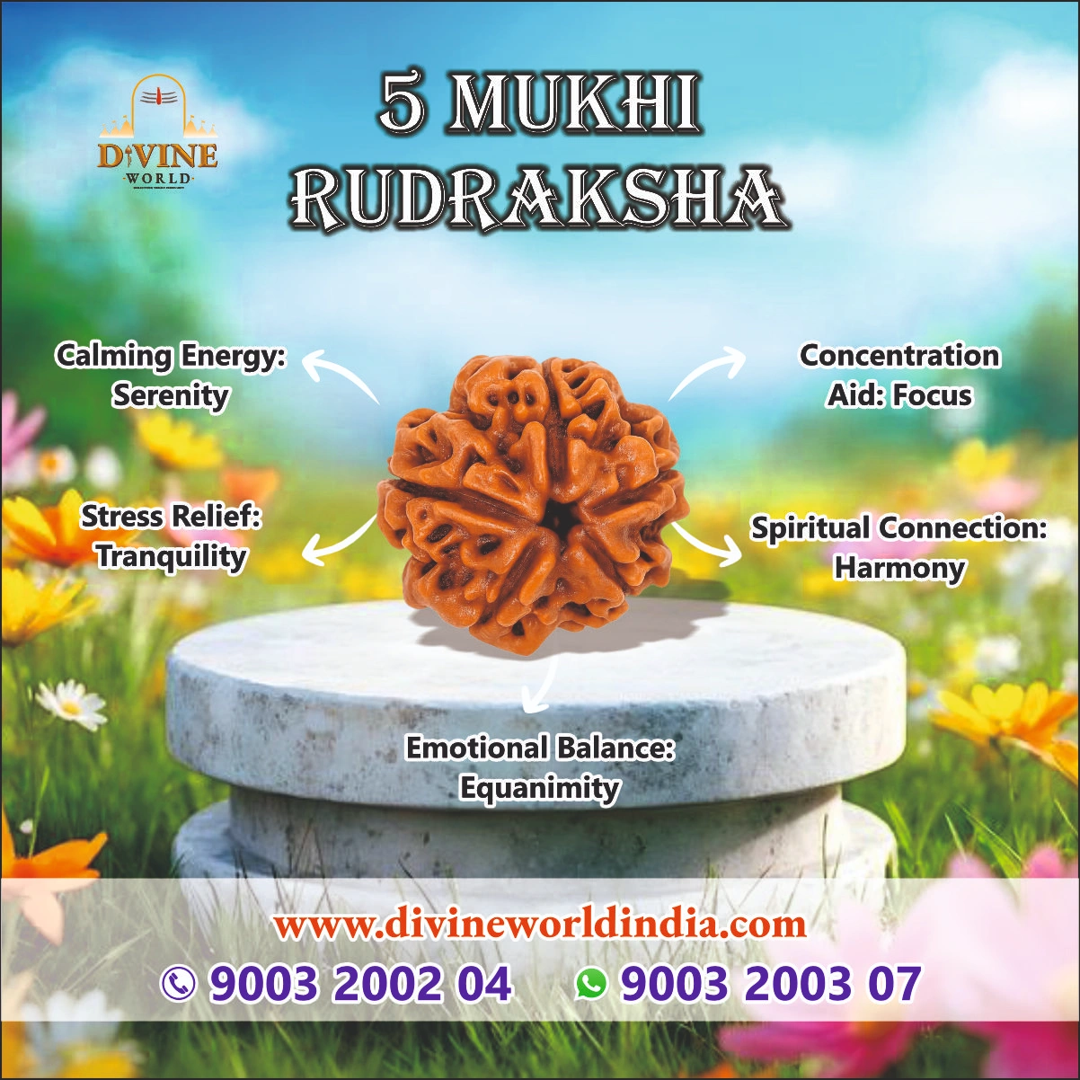 5 Mukhi Rudhraksha