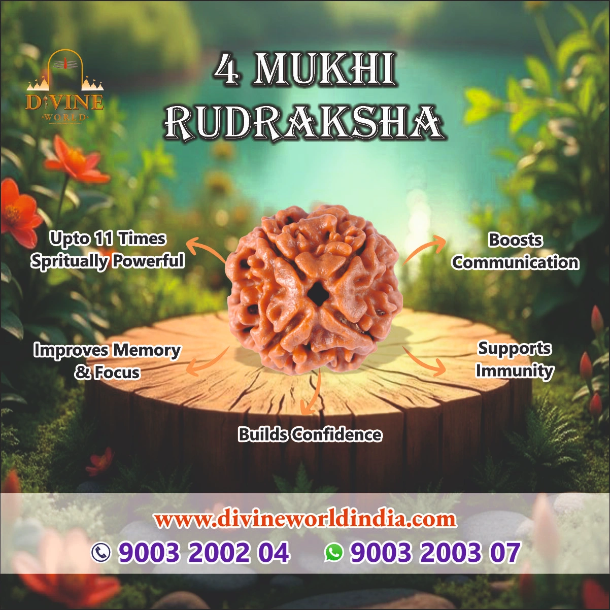 4 Mukhi Rudhraksha
