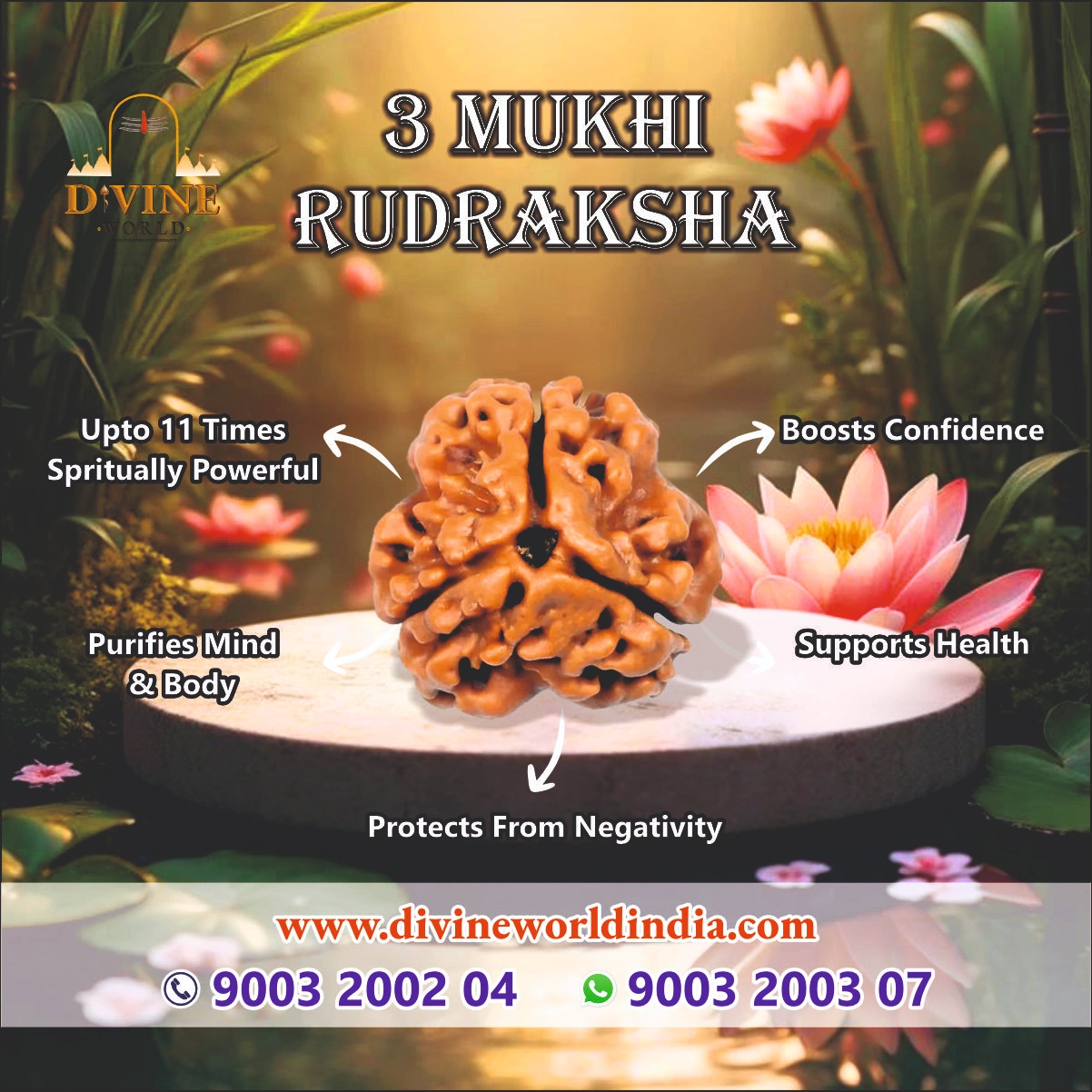 3 Mukhi Rudhraksha