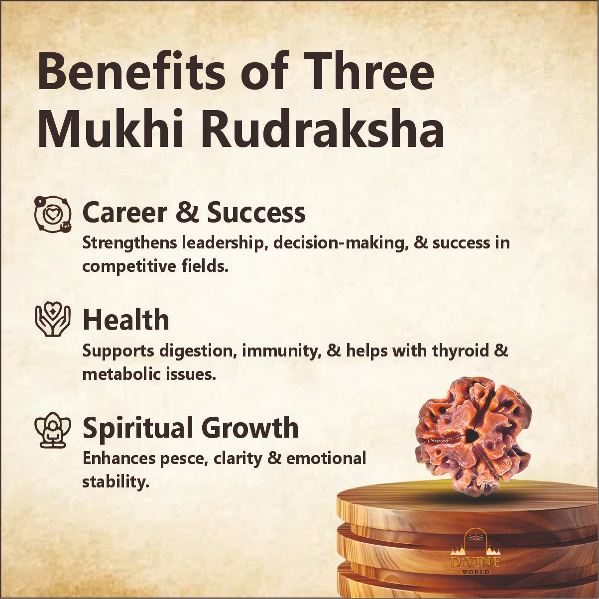 3 Mukhi Rudhraksha