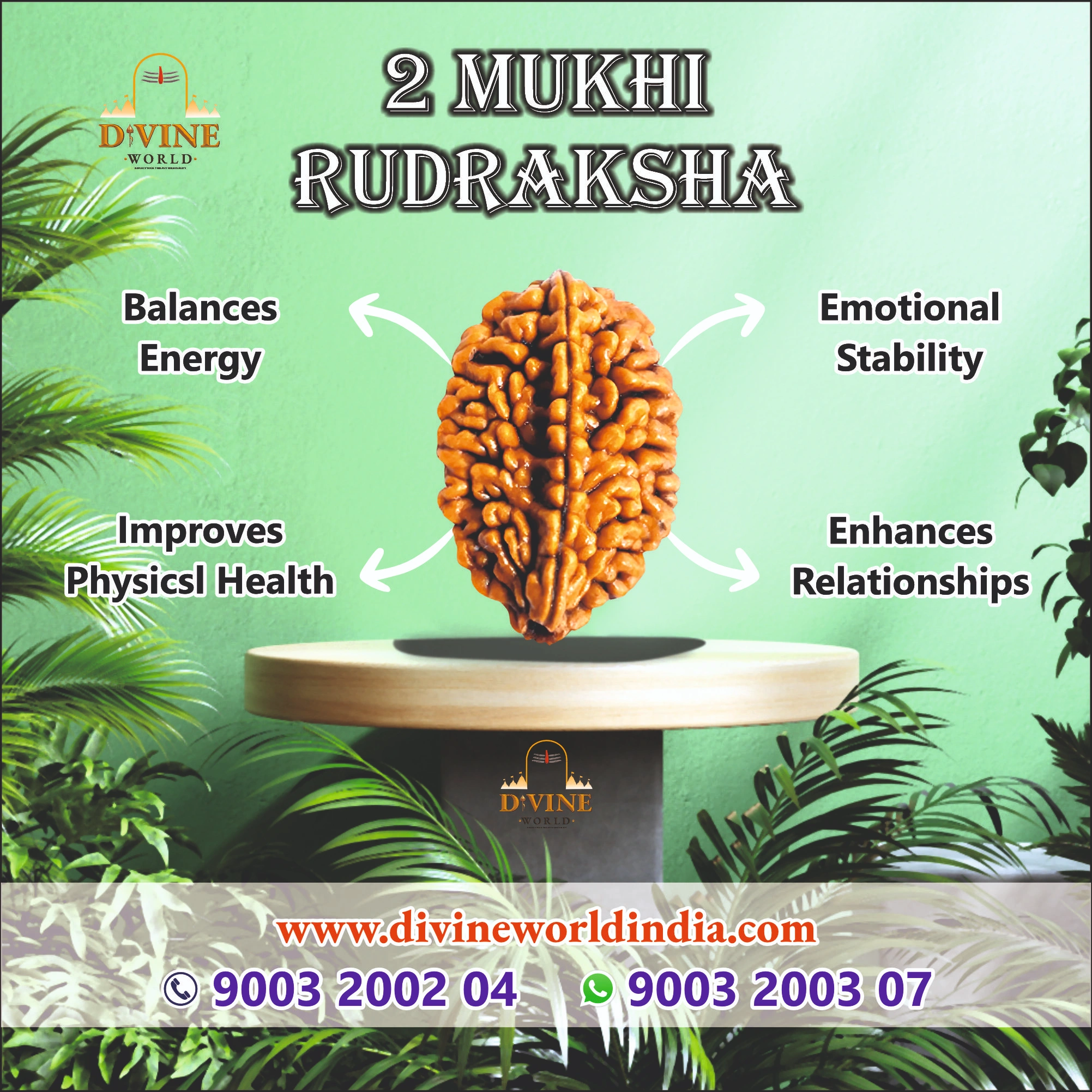2 Mukhi Rudhraksha