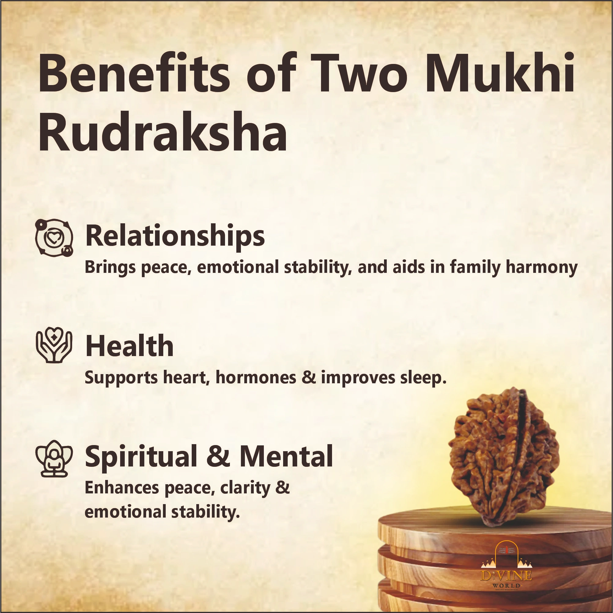 2 Mukhi Rudhraksha