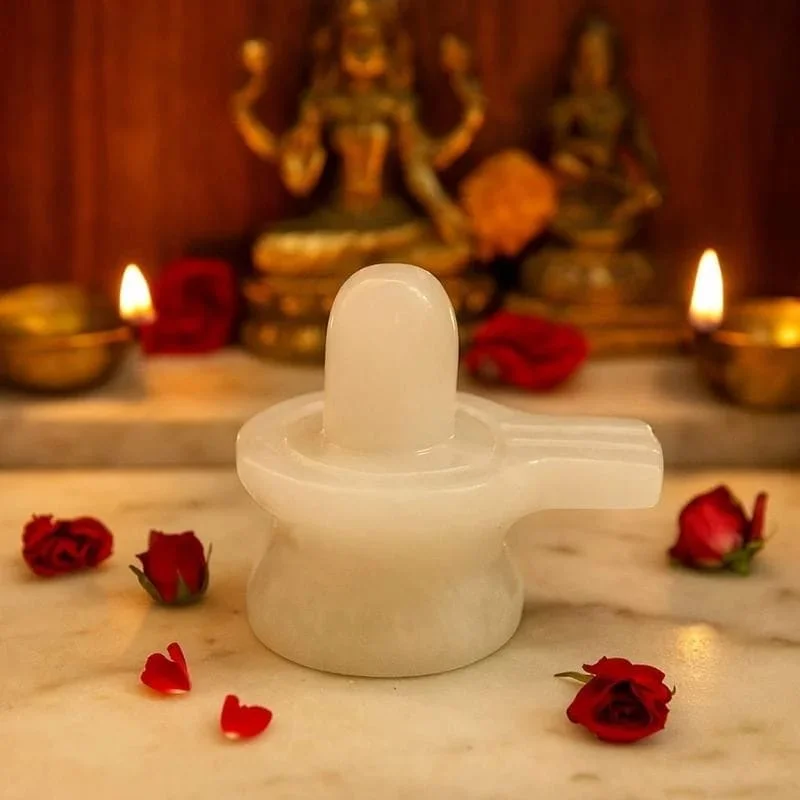 MILKY WHITE SHIVLING