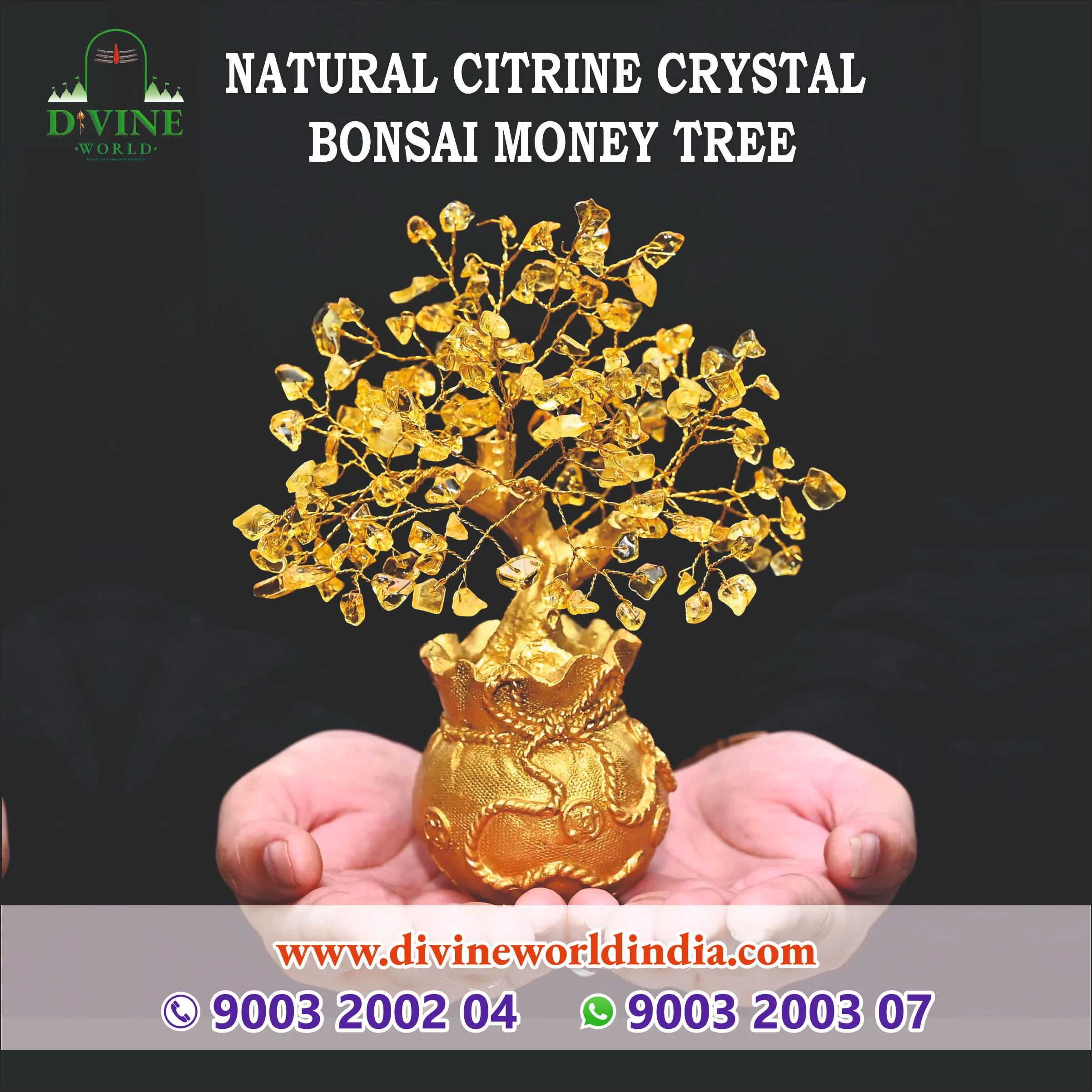 Natural Citrine Crystal Bonsai Money Tree