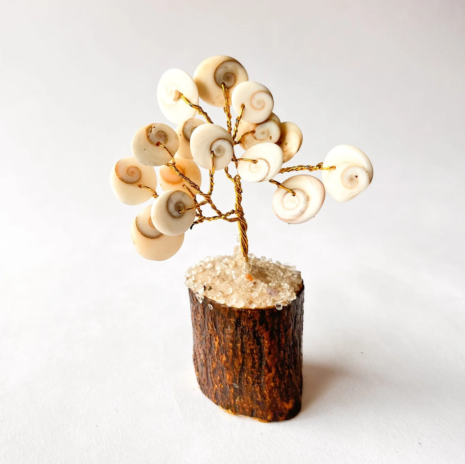 Natural Gomati Chakra Healing Gem Stone Vastu Plant