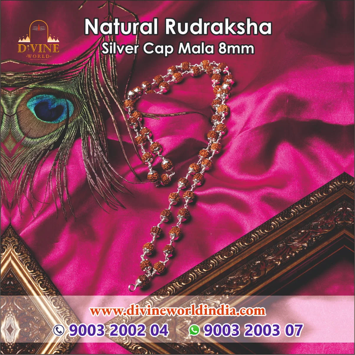 Rudraksham Silver Cap Malai 8mm