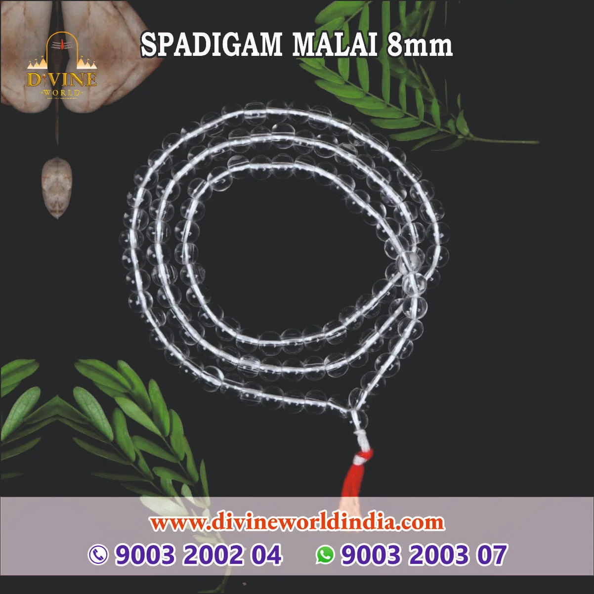 Spadigam Malai 8mm