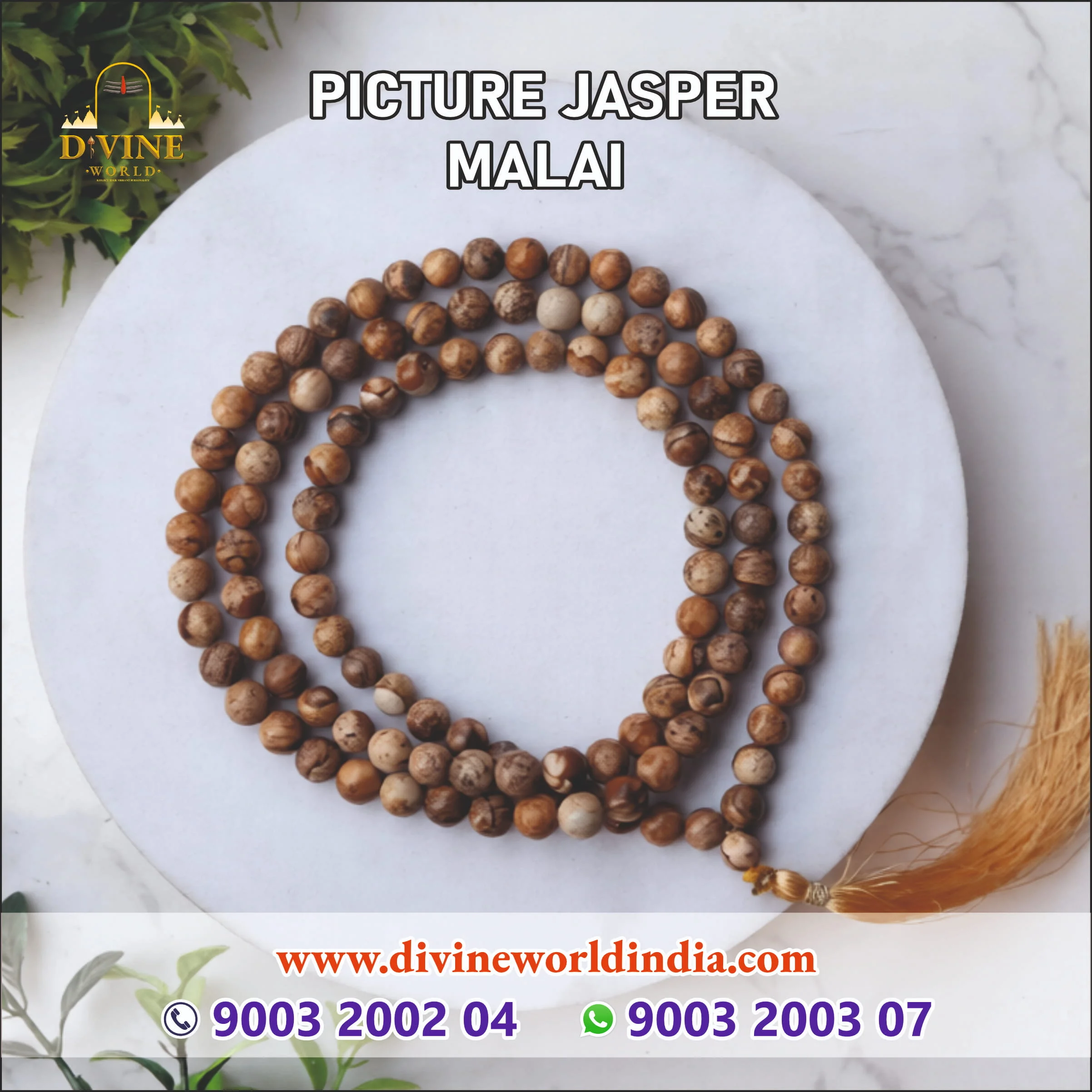 PictureJasper Malai