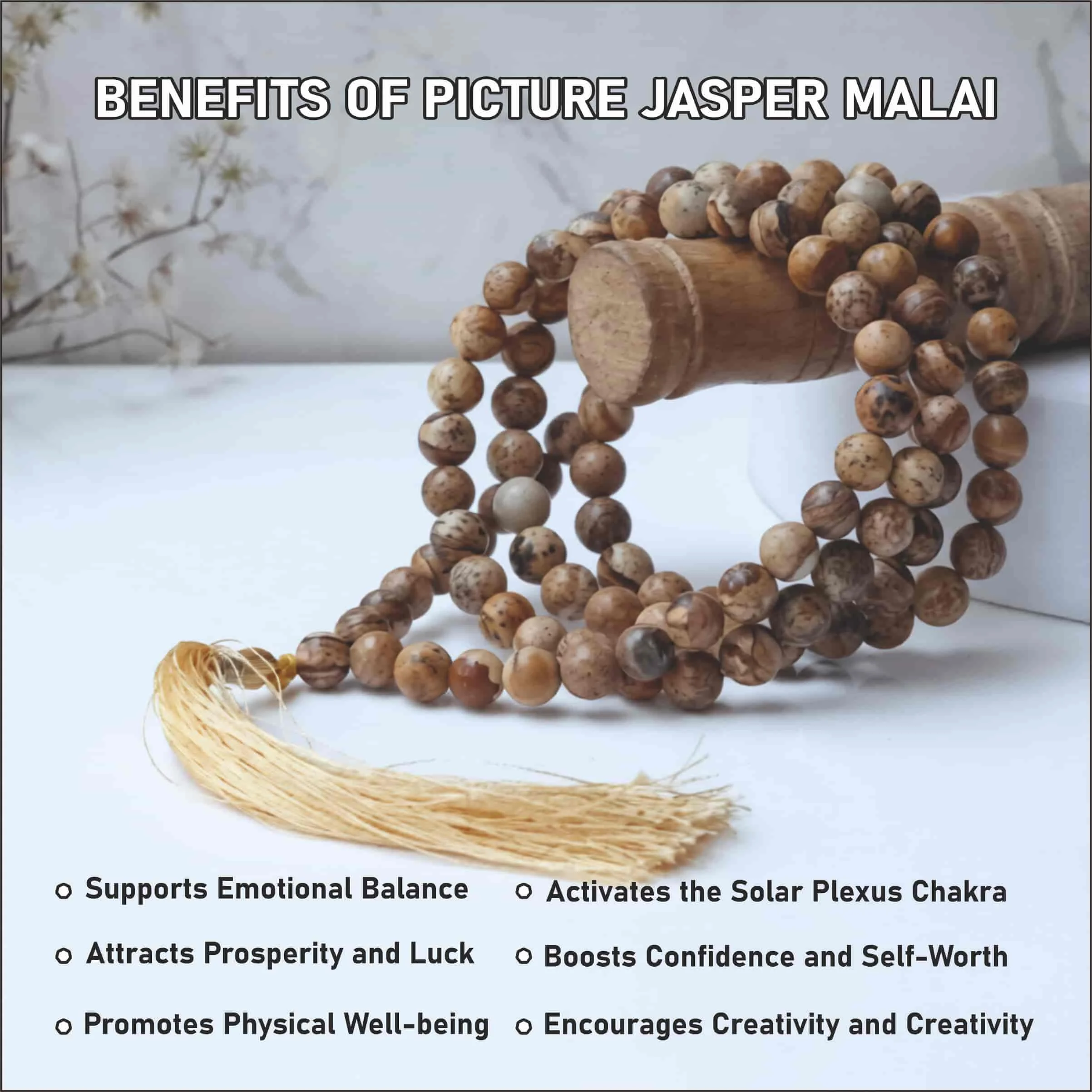 PictureJasper Malai