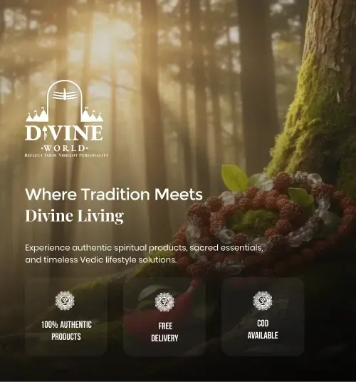 Divine World - Login